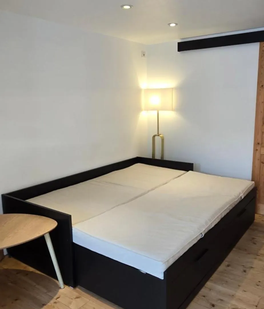 Chambre Independante Grand Confort Avec Parking Prive Clos En Centre Ville 普勒林 民宿
